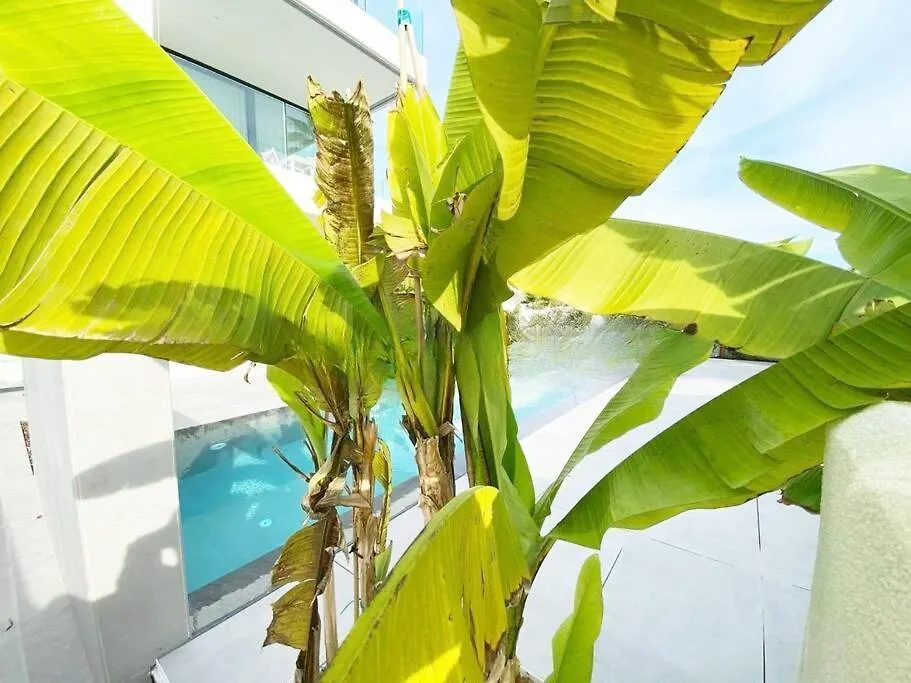 Palms Building Daire Lido di Jesolo